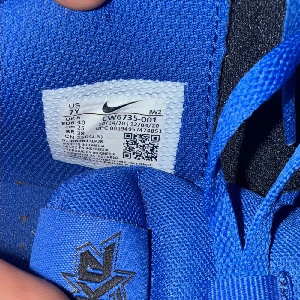 Nike Black & Royal Blue Low-Top Sneakers